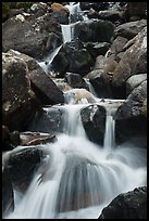 Calypso Cascades detail. Rocky Mountain National Park ( color)