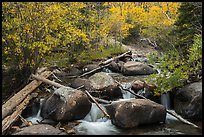 Stream above Alberta Falls in autumn. Rocky Mountain National Park, Colorado, USA.