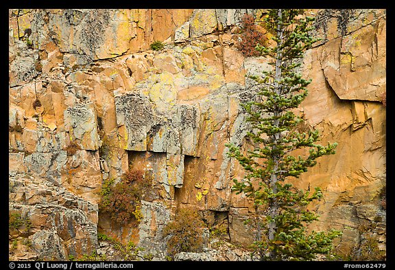 Walls of gorge. Rocky Mountain National Park (color)