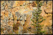 Walls of gorge. Rocky Mountain National Park ( color)