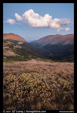 Looking down Old Fall River valley. Rocky Mountain National Park (color)