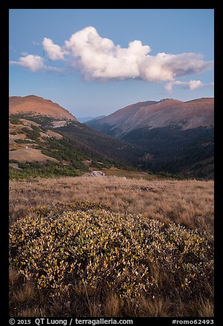 Looking down Old Fall River valley. Rocky Mountain National Park (color)