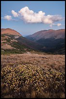 Looking down Old Fall River valley. Rocky Mountain National Park ( color)