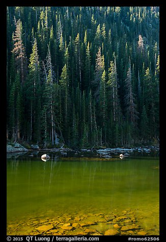 Boulders and forest on Dream Lake shore. Rocky Mountain National Park, Colorado, USA.