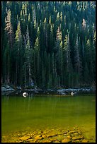 Boulders and forest on Dream Lake shore. Rocky Mountain National Park, Colorado, USA.