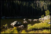 Grasses, boulders, lakeshore, Dream Lake. Rocky Mountain National Park, Colorado, USA.