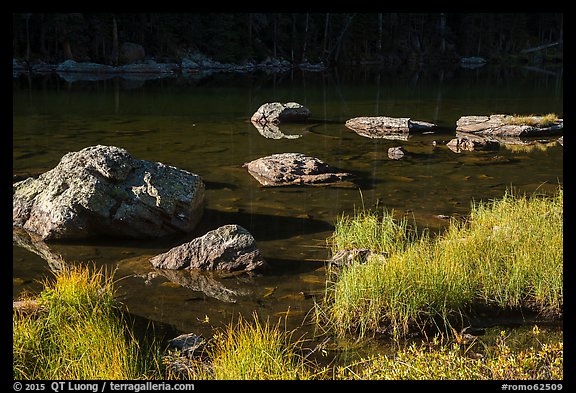 Grasses and boulders, Dream Lake. Rocky Mountain National Park (color)