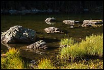 Grasses and boulders, Dream Lake. Rocky Mountain National Park, Colorado, USA.