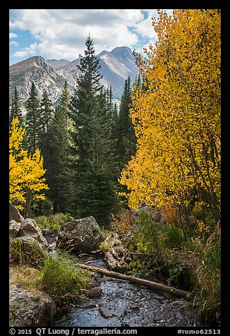 Stream, autumn foliage, and Longs Peak. Rocky Mountain National Park (color)