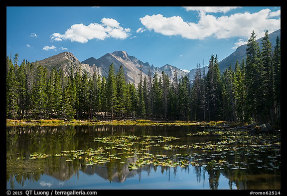 Longs Peak reflected in Nymph Lake. Rocky Mountain National Park (color)