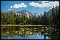 Longs Peak reflected in Nymph Lake. Rocky Mountain National Park, Colorado, USA.