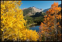 Autumn foliage above Bear Lake. Rocky Mountain National Park, Colorado, USA.