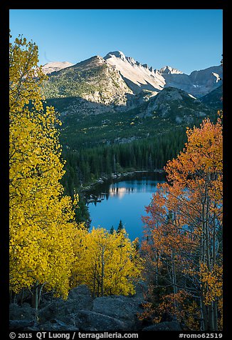 Longs Peaks, Bear Lake, yellow and orange aspens. Rocky Mountain National Park (color)