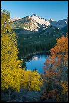 Longs Peaks, Bear Lake, yellow and orange aspens. Rocky Mountain National Park, Colorado, USA.