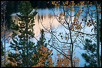 Bear Lake through trees and autumn leaves. Rocky Mountain National Park, Colorado, USA.