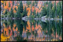 Autumn foliage color and reflections in Bear Lake. Rocky Mountain National Park, Colorado, USA.