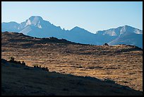 Continental Divide and alpine tundra. Rocky Mountain National Park ( color)