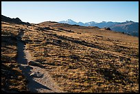 Ute Trail crossing alpine tundra. Rocky Mountain National Park ( color)