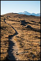 Ute Trail. Rocky Mountain National Park ( color)