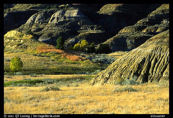 Badlands and prairie in North unit. Theodore Roosevelt National Park (color)