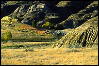 Badlands and prairie in North unit. Theodore Roosevelt National Park, North Dakota, USA. (color)