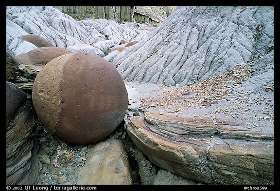 Cannonball concretion, North Unit. Theodore Roosevelt National Park, North Dakota, USA.