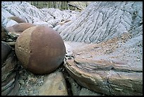 Cannonball concretion, North Unit. Theodore Roosevelt National Park, North Dakota, USA.