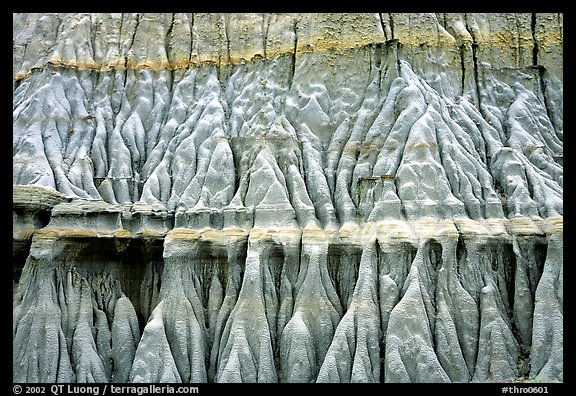 Erosion formations. Theodore Roosevelt  National Park
