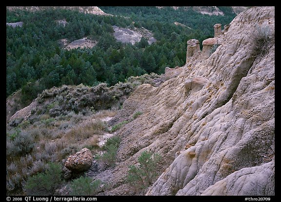 Badlands with Caprock chimneys, North Unit. Theodore Roosevelt National Park (color)