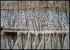 Erosion formations. Theodore Roosevelt National Park, North Dakota, USA. (color)
