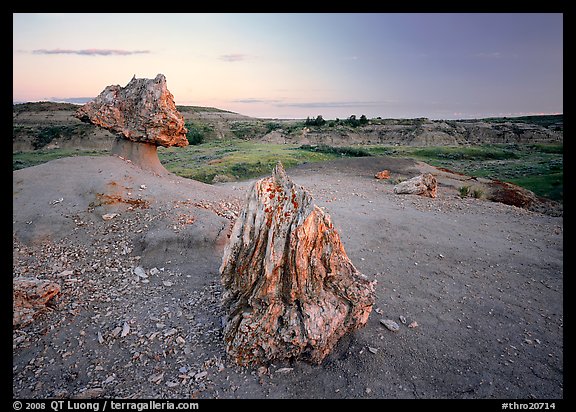 Pedestal petrified log and petrified stump sunset,. Theodore Roosevelt National Park (color)