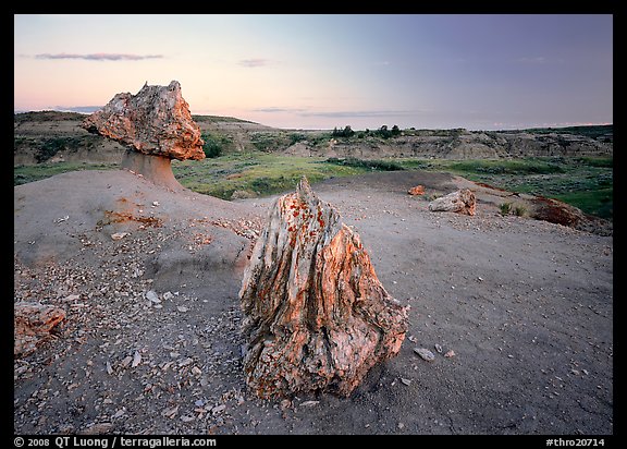 Pedestal petrified log and petrified stump sunset,. Theodore Roosevelt National Park, North Dakota, USA.