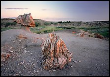 Pedestal petrified log and petrified stump sunset,. Theodore Roosevelt National Park, North Dakota, USA.