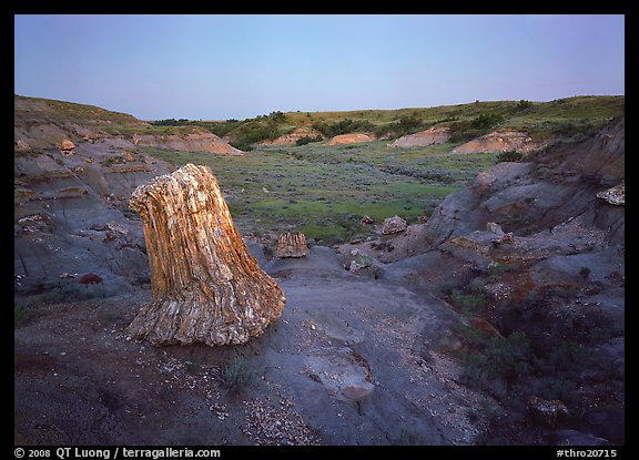 Petrified log stump at dusk, South Unit. Theodore Roosevelt  National Park (color)