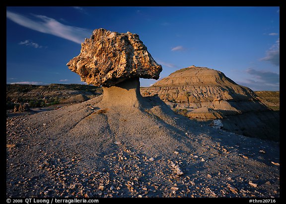 Pedestal petrified log and badlands, late afternoon. Theodore Roosevelt National Park, North Dakota, USA.