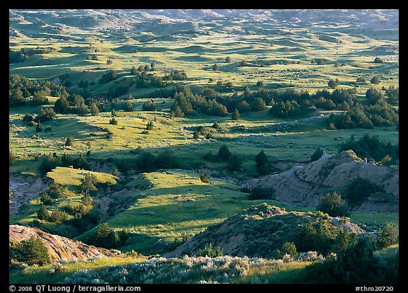 Prairie, trees, and badlands, Boicourt overlook, South Unit. Theodore Roosevelt National Park (color)