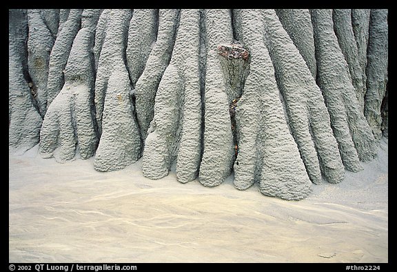 Erosion formations in mudstone. Theodore Roosevelt National Park (color)