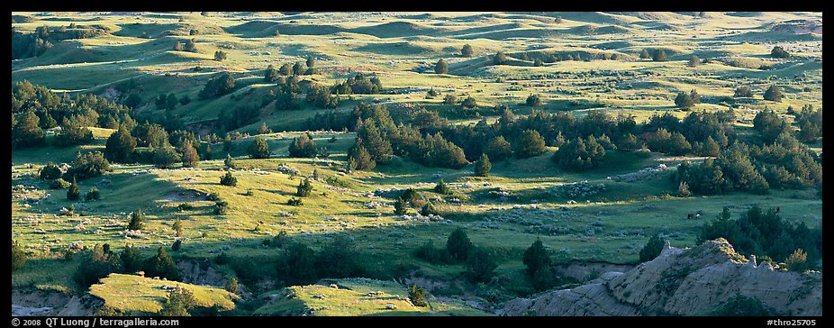 Landscape of prairie, badlands, and trees. Theodore Roosevelt National Park, North Dakota, USA.