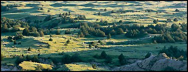 Landscape of prairie, badlands, and trees. Theodore Roosevelt  National Park (Panoramic color)