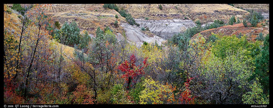 Badlands landscape in autumn. Theodore Roosevelt  National Park (color)