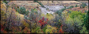 Badlands landscape in autumn. Theodore Roosevelt National Park, North Dakota, USA.