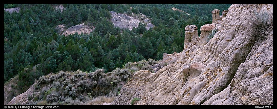 Badlands, caprock chimneys, and forest. Theodore Roosevelt  National Park (color)