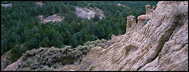 Badlands, caprock chimneys, and forest. Theodore Roosevelt National Park, North Dakota, USA.