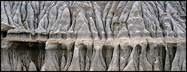 Eroded mudstone. Theodore Roosevelt  National Park (Panoramic color)