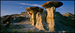 Caprock formations. Theodore Roosevelt  National Park (Panoramic color)