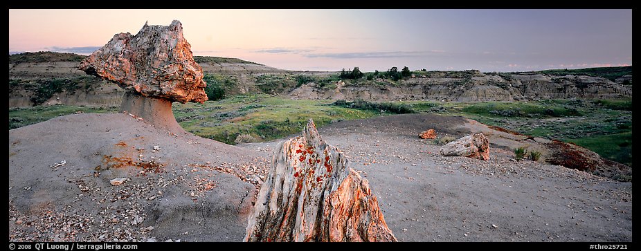 Petrified wood in badlands landscape. Theodore Roosevelt  National Park (color)