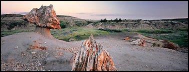 Petrified wood in badlands landscape. Theodore Roosevelt  National Park (Panoramic color)