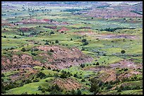 Painted Canyon. Theodore Roosevelt National Park ( color)