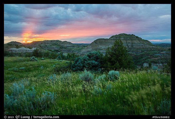 Sunset over grasses and badlands. Theodore Roosevelt National Park, North Dakota, USA.