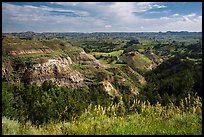 North Dakota badlands landscape. Theodore Roosevelt National Park, North Dakota, USA. (color)